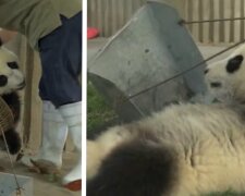 Fotografie: 4tololo.ru