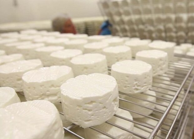 Měkké sýry. Foto: snímek obrazovky YouTube