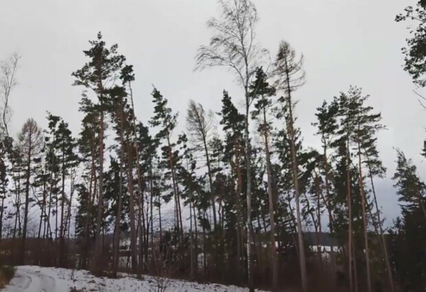 Počasí. Foto: snímek obrazovky YouTube