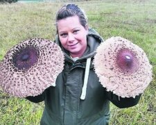 Letošní houbařská sezóna je mnohem lepší než v předchozích letech: je možno najít velmi velké houby