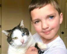 Chlapec s dvoubarevnými očíma vzal z útulku kočku se stejně neobvyklými očima