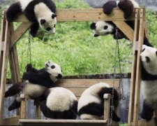 Fotografie: kakao.im