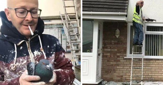 Náhodné štěstí: malíř již dokončil malování domu a udělal vše bezchybně, ale zjistil, že adresa byla špatná