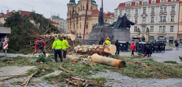 Co se stalo s vánočním stromem, který zdobil Staroměstské náměstí v Praze během prázdnin