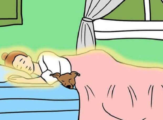 Pes. Foto: snímek obrazovky: superhear.info