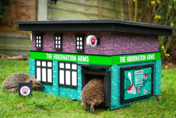 Jedna společnost začala vyrábět "hospody" pro ježky. Malá krabice by měla pomoci zachranit tato zvířata v zemi