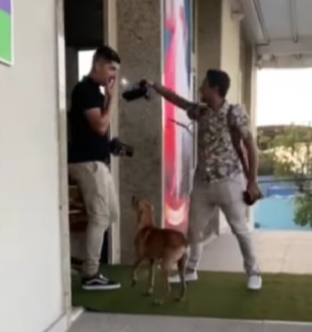 Foto: snímek obrazovky Instagram