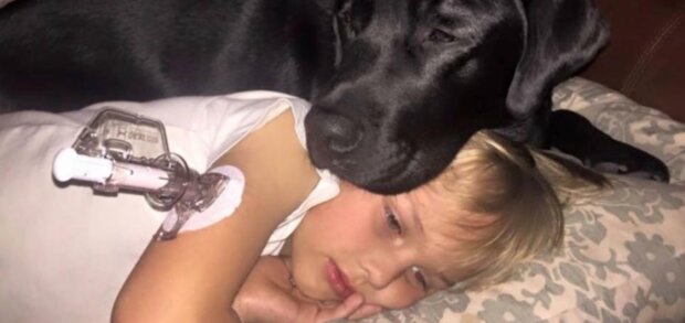 Milující pes každý den zachraňuje život svého sedmiletého majitele