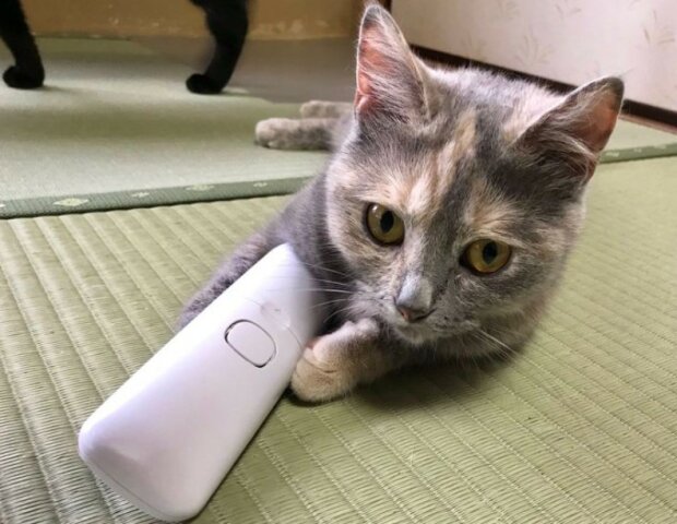 Fotografie: 4tololo.ru