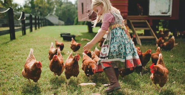 Fotografie: Mmykote.ru