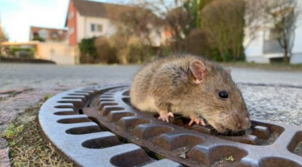 Fotografie: yaustal.com