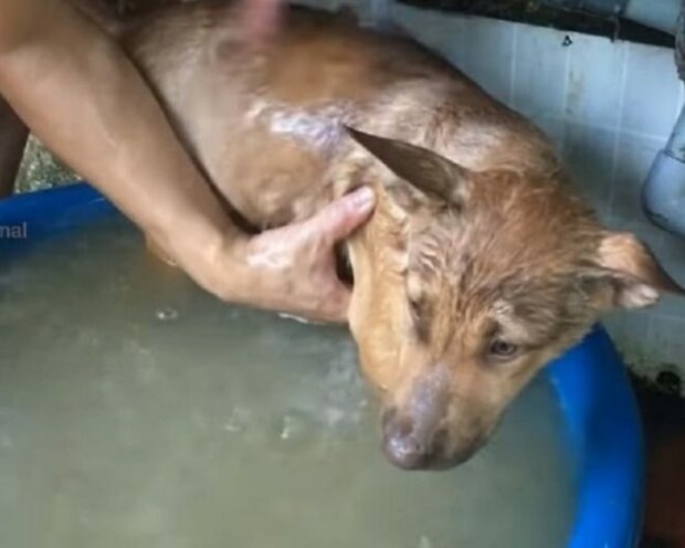 Zdroj fotografie: mur.tv