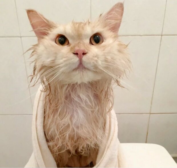 Fotografie: laykni.com