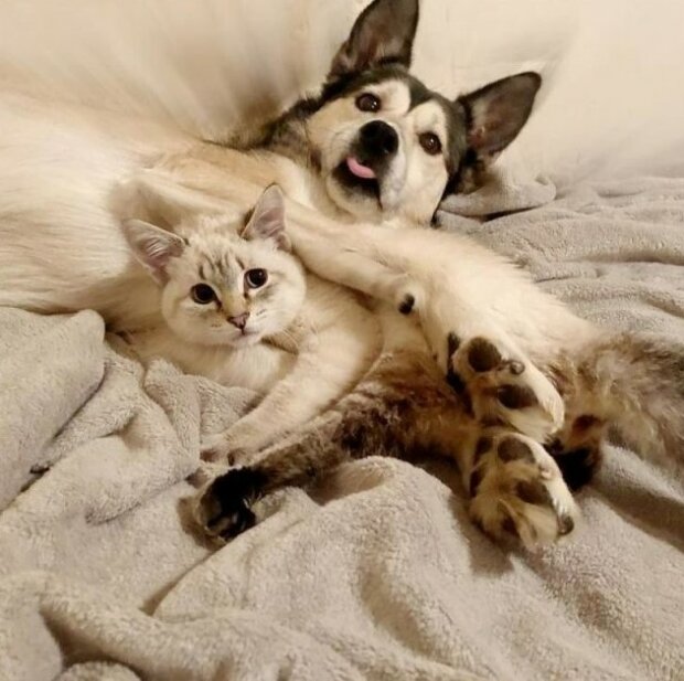 Fotografie: duck.show