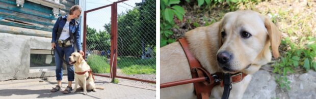 Fotografie: asi.org.ru