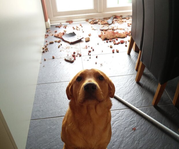 Fotografie: laykni.com