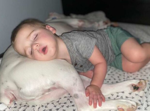 Fotografie: kennedynewsandmedia.co.uk