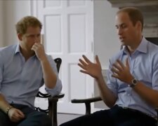 William а Harry, Foto: snímek obrazovky YouTube