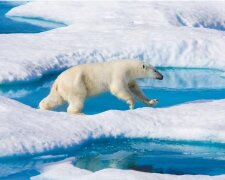 Vedoucí představitelé 60 zemí dali „slib přírodě“