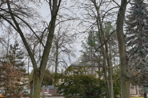 Počasí. Foto: snímek obrazovky stars24.cz