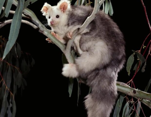 Fotografie: laykni.com