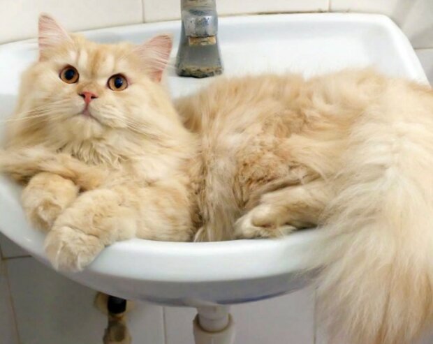 Fotografie: laykni.com