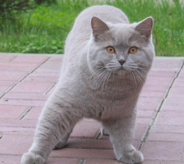 Fotografie: pinterest.com