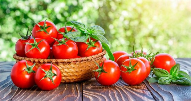 Hromada rajčat a nejchutnější nálev k tomu