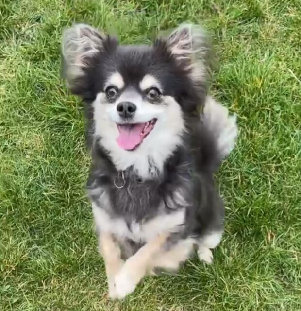 Foto: snímek obrazovky Instagram