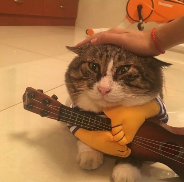 Fotografie: duck.show