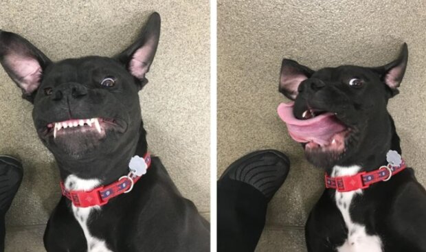 Fotografie: reddit.com