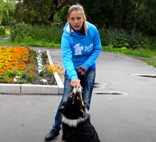 Pes. Foto: snímek obrazovky YouTube