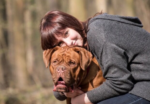 Pes. Foto: snímek obrazovky ukr.media