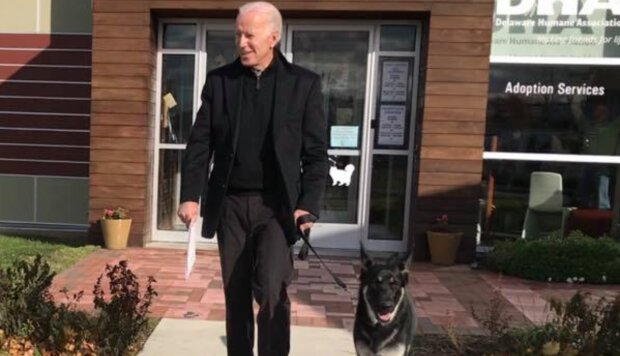 Pes Joe Bidena bude prvním psem z útulku, který bude žít v Bílém domě