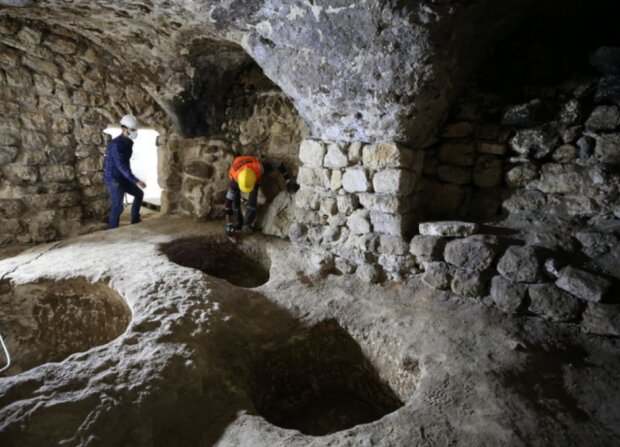 Foto: snímek obrazovky Focus