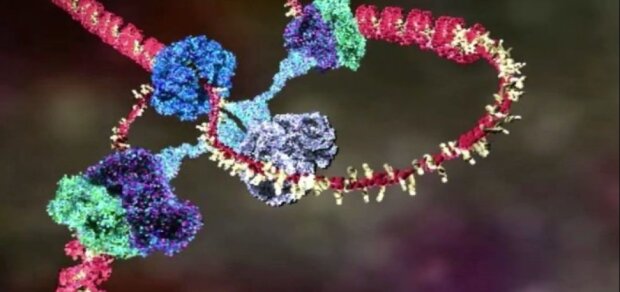 Fungování DNA zobrazeno v krásné animaci