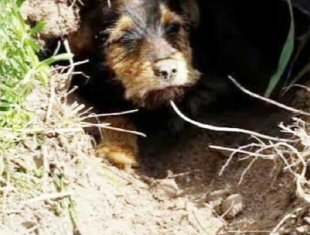 Zdroj fotografie: mur.tv