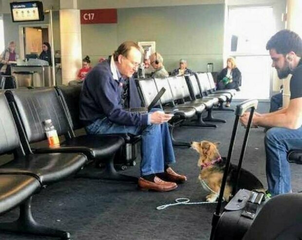 Zajímavý příběh na letišti: Pes spěchal k cizinci