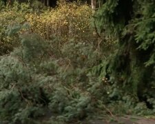 “V nížinách vichr, na horách orkán”: Meteorologové zveřejnili aktuální předpověď. Jak bude