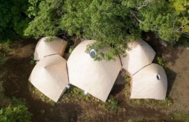 Nejlepší pečovatelský dům. Foto: snímek obrazovky kakao.im