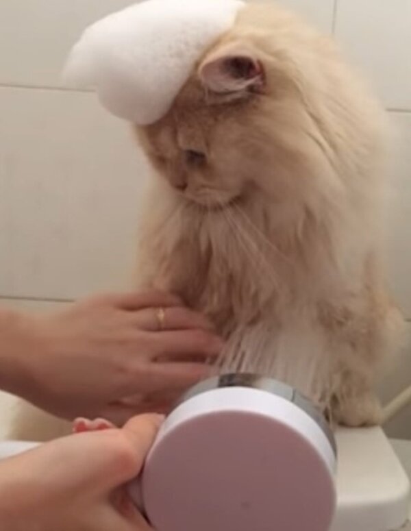 Fotografie: laykni.com