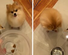 Fotografie: 4tololo.ru