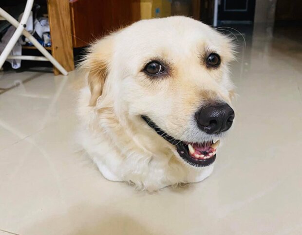 Fotografie: 4tololo.ru