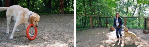 Fotografie: asi.org.ru