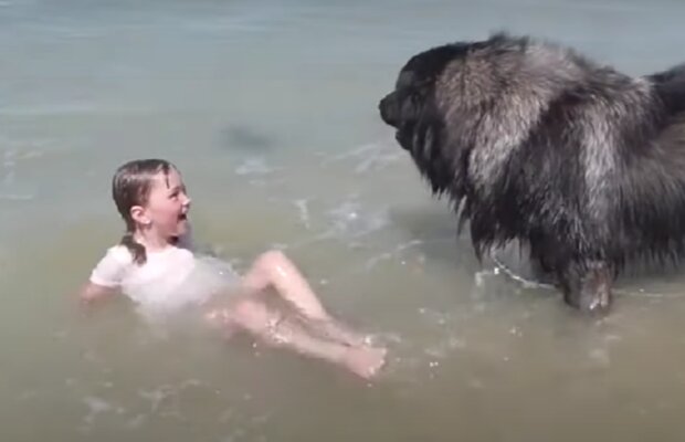 Zvíře a ditě. Foto: snímek obrazovky YouTube