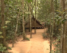 Osmiletá dívka se ztratila v džungli, ale po 20 letech se vrátila domů