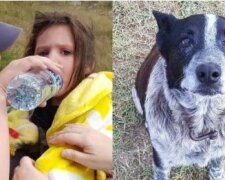 Pohřešovanou dívku hlídal nevidomý pes 17 hodin