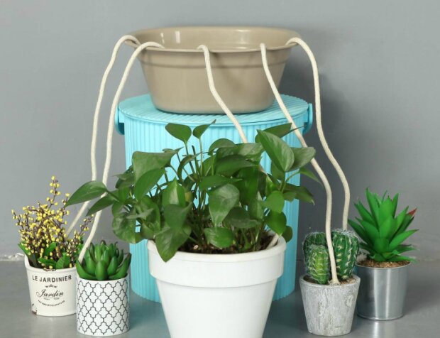 Fotografie: joinfo.com