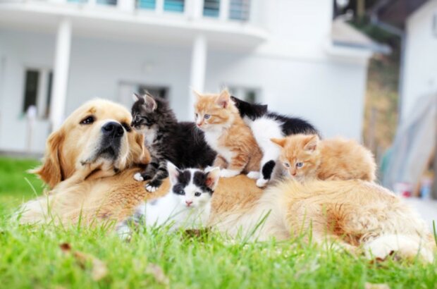 Fotografie: skynesher/Е+/Getty Images