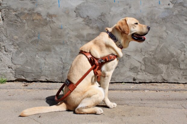 Fotografie: asi.org.ru